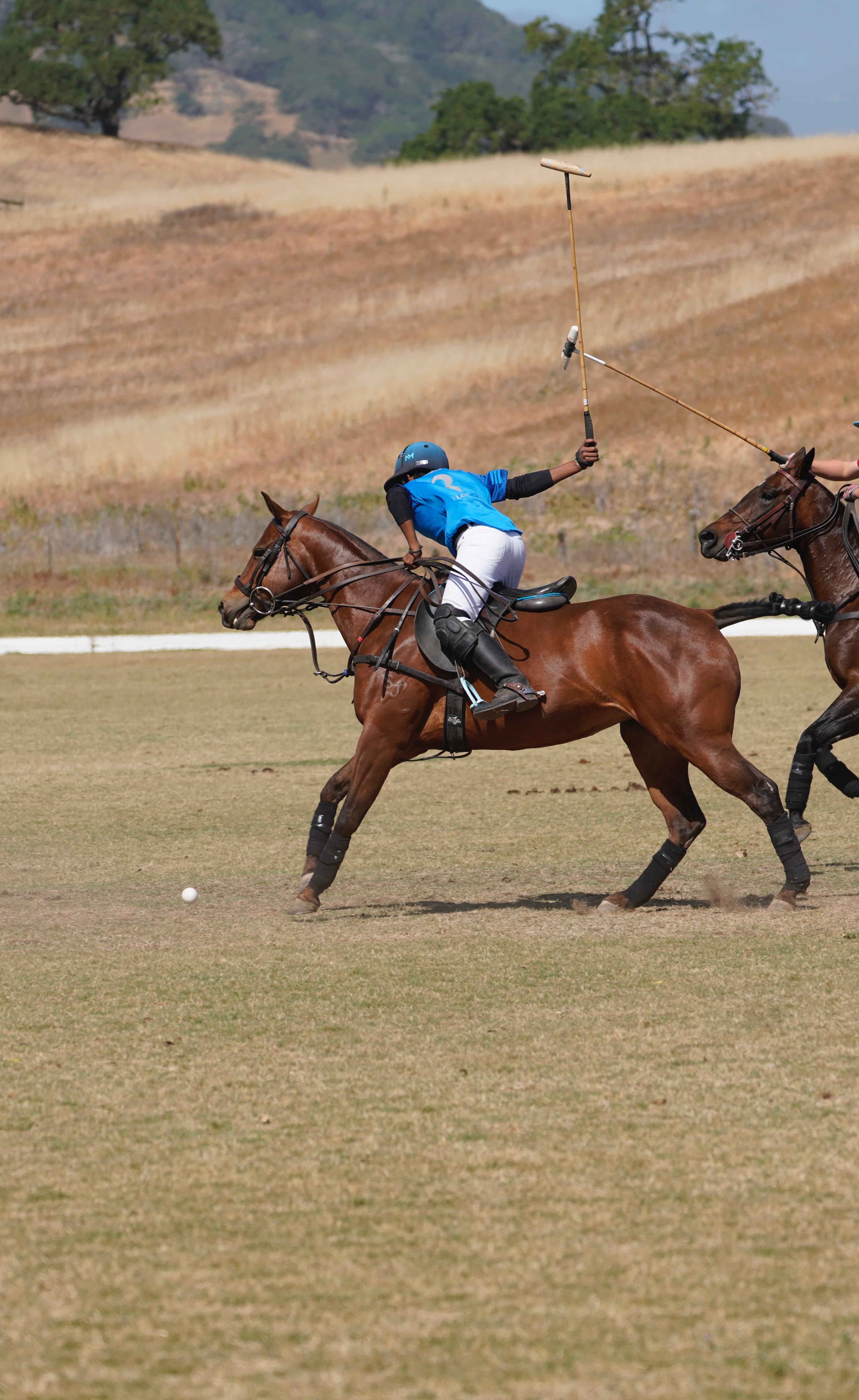 Me Playing Polo, one of my favorite hobbies